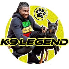 K9 Legend Family Dog Training & Aggression Rehabilitation  - Salisbury, MD