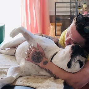 Holistic Healing and Massage for Companion Animals  - Annapolis, MD
