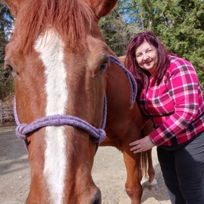 Healing 4 ALL - Licensed Animal Massage Therapist - Mill Creek, WA