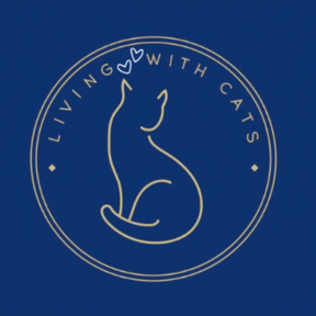 Feline Behavior Support for Understanding Your Cat Better - Clifton Park, NY