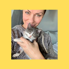 Certified Cat Behavior Consultant & Fear Free Specialist - Toronto, ON