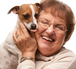 Keep Stella Safe - Pet Guardians For Your Pet's Next Home - Erie, CO