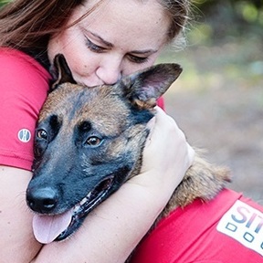 Sit Means Sit - In Home Dog Training - St. Petersburg, FL