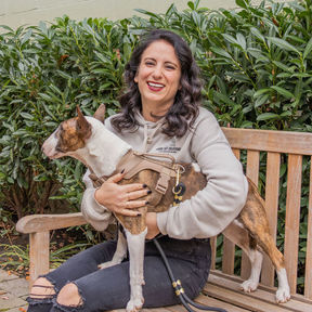 It All Starts With The Bowl - Canine Nutritionist - Vineland, NJ