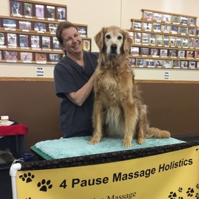 4 Pause Massage Holistics - Animal Massage - Marquette, MI