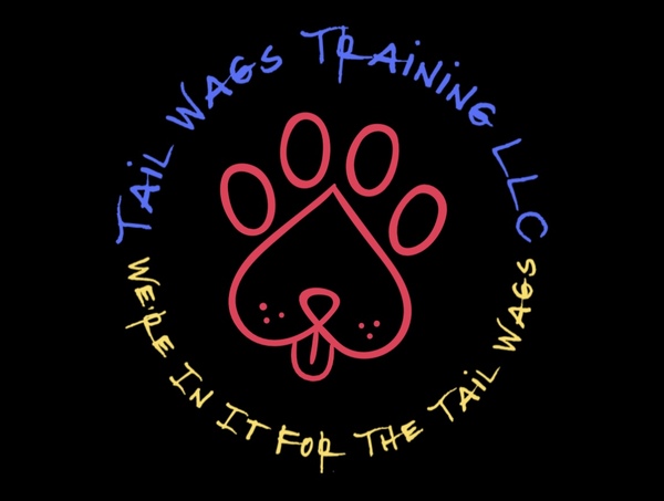 Tail Wags Dog Training  - Bradenton, FL