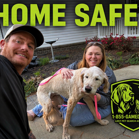 Lost Pets | Thermal Drone Search and Rescue - Maryland, USA