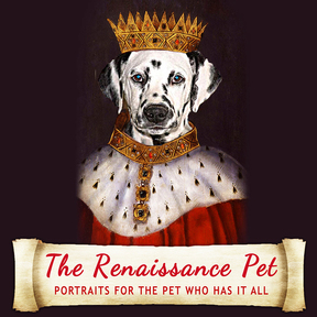 The Renaissance Pet - Montague, MA -Montague, MA