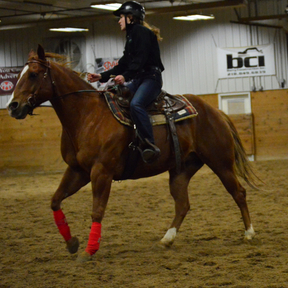 Horse Boarding and Training Barn - Fergus Falls, MN