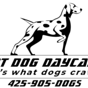 Smart Dog Daycare and Boarding - Everett, WA
