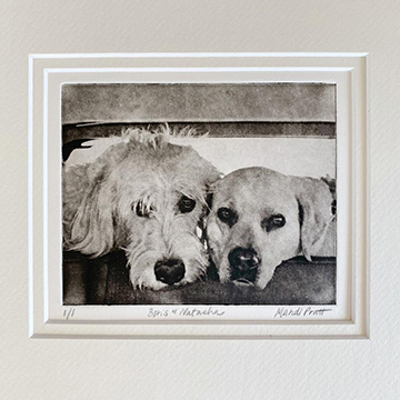 Handmade Etched Pet Portrait From Your Photo  - Nationwide