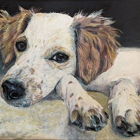 Animal Art by Jenn - Milwaukee, WI