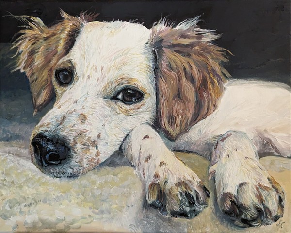 Pxl 20240610 175234346 2