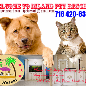 Island Pet Resort - Pet Boarding and Pet Sitting - Staten Island, NY