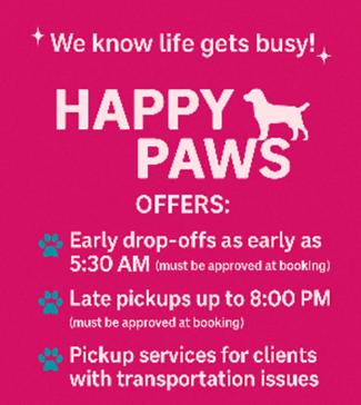 Happy paws