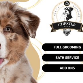 Chéster Mobile Pets Grooming - West Harrison, NY