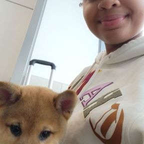 Elite Pet Concierge: In-Cabin Flight Nanny - Atlanta, GA