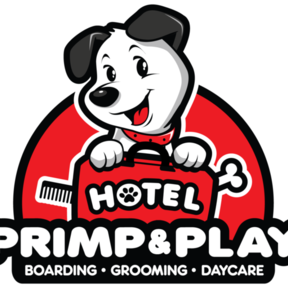 Hotel Primp & Play - Pet Boarding, Grooming, Taxi, more - Fort Lee, NJ