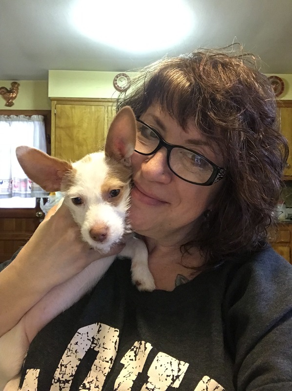 Evidential Animal Communication Sessions! - Clifton, NJ