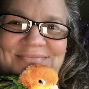 Avian Rescue and Respite - Bird Boarding and Sitting - Somersworth, NH