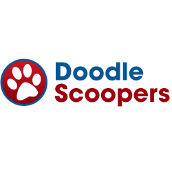Doodle scoopers   profile