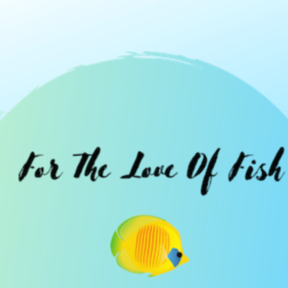 For The Love Of Fish - Aquarium Services - Eugene, OR