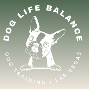 Helping Reactive Dogs Relax - Dog Training - Las Vegas, NV