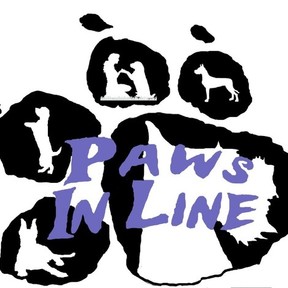 Lindsey R. (Paws In Line) - Certified Dog Trainer - Kenosha, WI