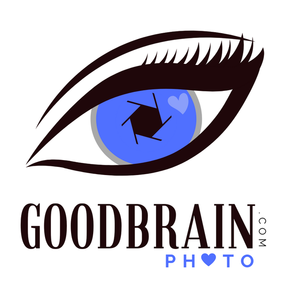 Goodbrain Photo - Pet Photography - Vassalboro, ME