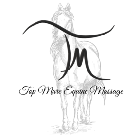 Top Mare Equine Massage LLC - Sioux City, IA