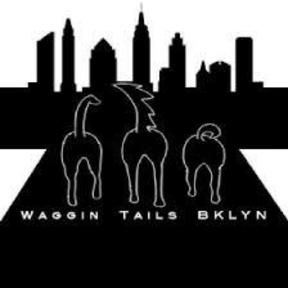 Waggin Tails Brooklyn - Dog Walking and Pet Sitting - Brooklyn, NY
