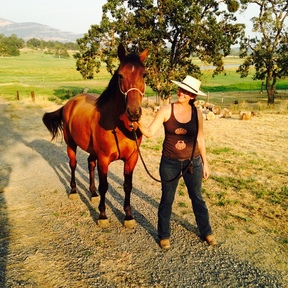 Animal Communicator & Essential Oil Educator - Talent, OR