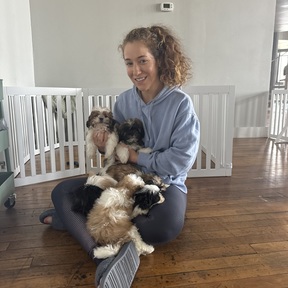 Canine Massage Therapist - Chicago, IL