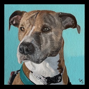 Custom Hand Painted Pet Portraits - Evansville, IN