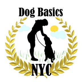 Dog Basics NYC - Private Dog Training Sessions - Brooklyn, NY