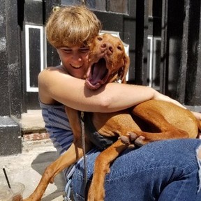 Sundog Pet Care - Mobile Dog Training - Brooklyn, NY