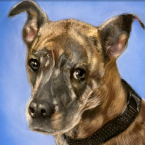 Art Jacobs - Pet Portrait Drawings and Paintings  - Minneapolis, MN