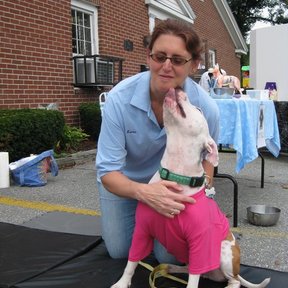 Rub My Belly Animal Massage & Reiki - Lowell, MA