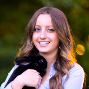 Lauren’s Rainbow Pet Care and Pet Sitting - Seattle, WA