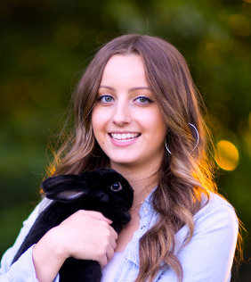 Lauren’s Rainbow Pet Care and Pet Sitting - Seattle, WA
