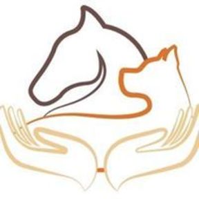 Ahmazing Animal Wellness - Pet Massage Therapy - Glastonbury, CT