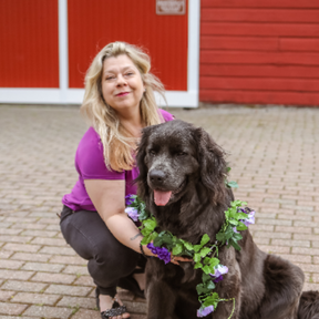 Terry's Taxi - Pet Taxi Service - Albany, NY