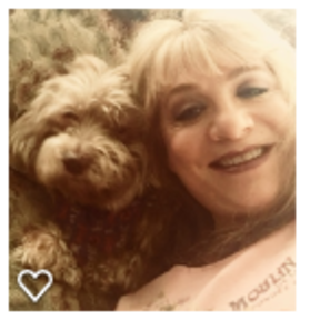 SunShine's Pet City Dog Walkers, Dog Sitters, Boarding - Swedesboro, NJ
