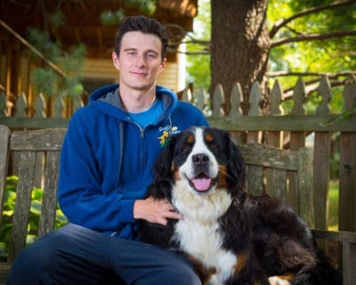 Joe gorman dog walking arlington photo
