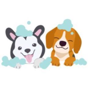 Wet Paws Mobile Pet Grooming - Albuquerque, NM