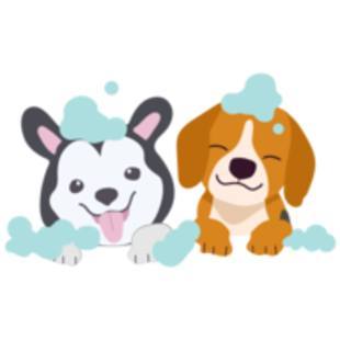 Wet paws mobile pet grooming