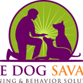 The Dog Savant - Certified Dog Trainer - Los Angeles, CA