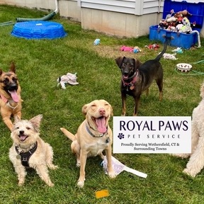 Royal Paws Pet Service - Wethersfield, CT