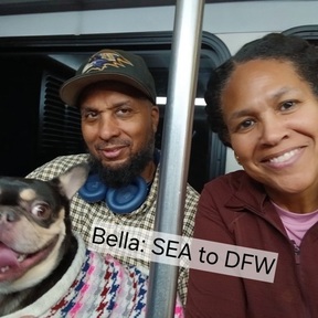 L.E.W.T. Pet Transport & Flight Nanny Services - 