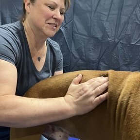 HappyTails Canine Massage  - Otis Orchards, WA